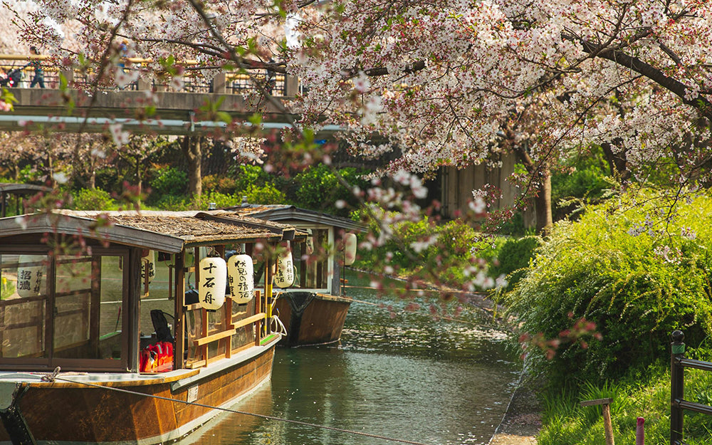 Plan a Romantic Honeymoon in Japan