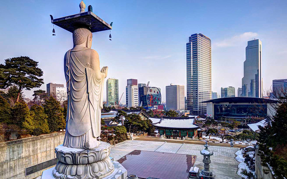 Best Time to Visit Korea – A Complete Guide