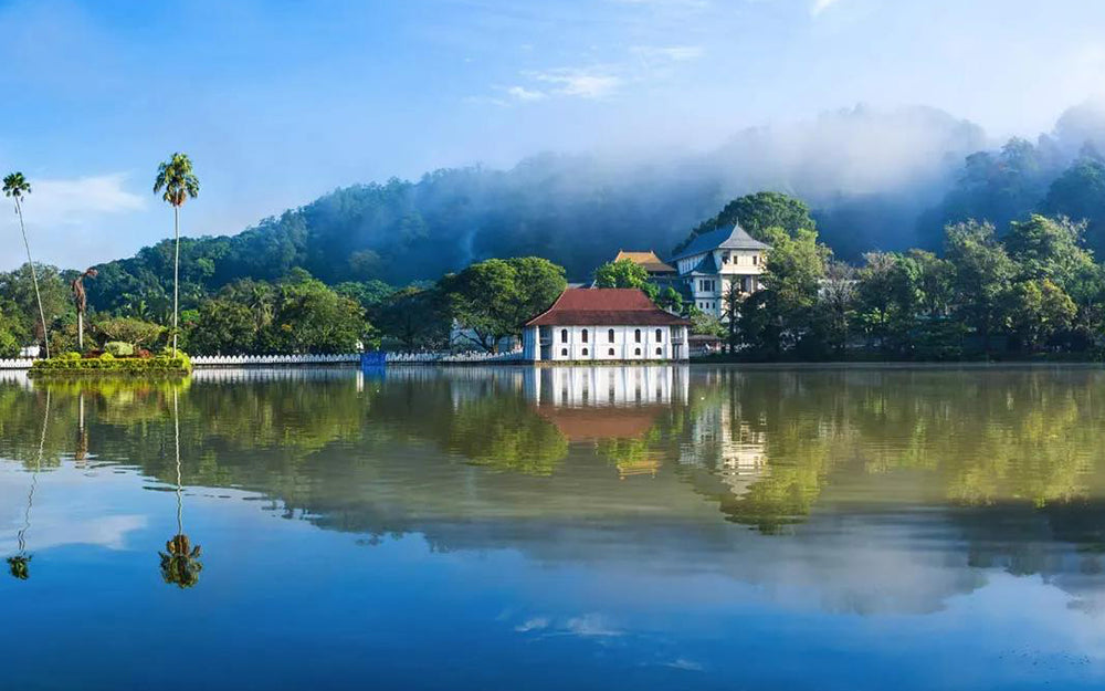 Best Time to Visit Sri Lanka – A Complete Guide