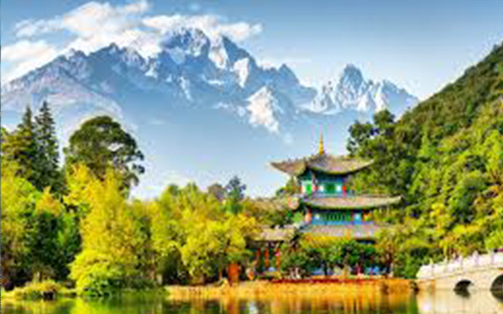 How to apply for China Visa in 2026