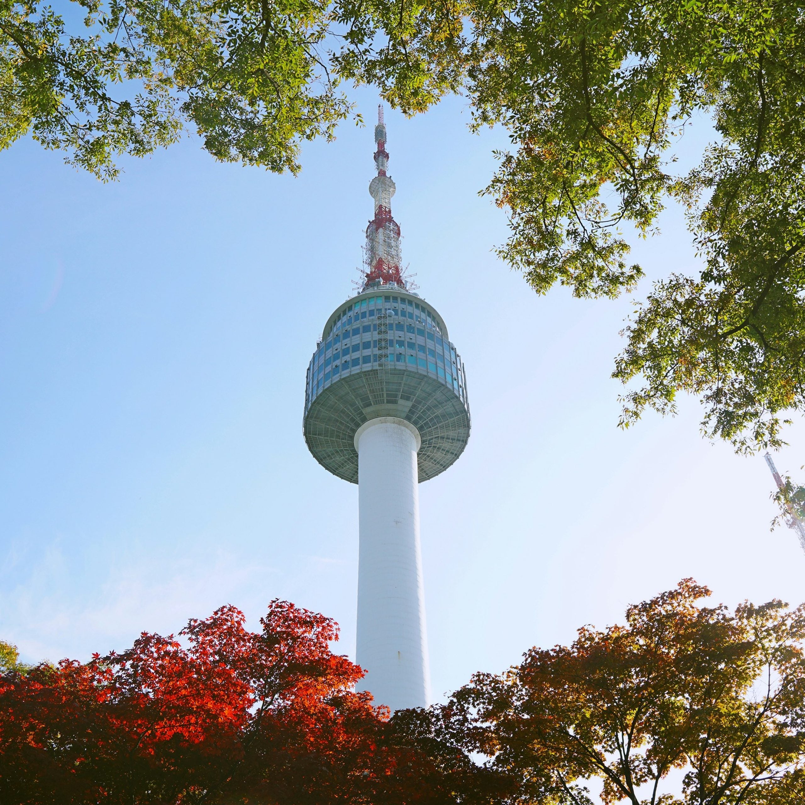 Plan a Romantic Honeymoon in Korea
