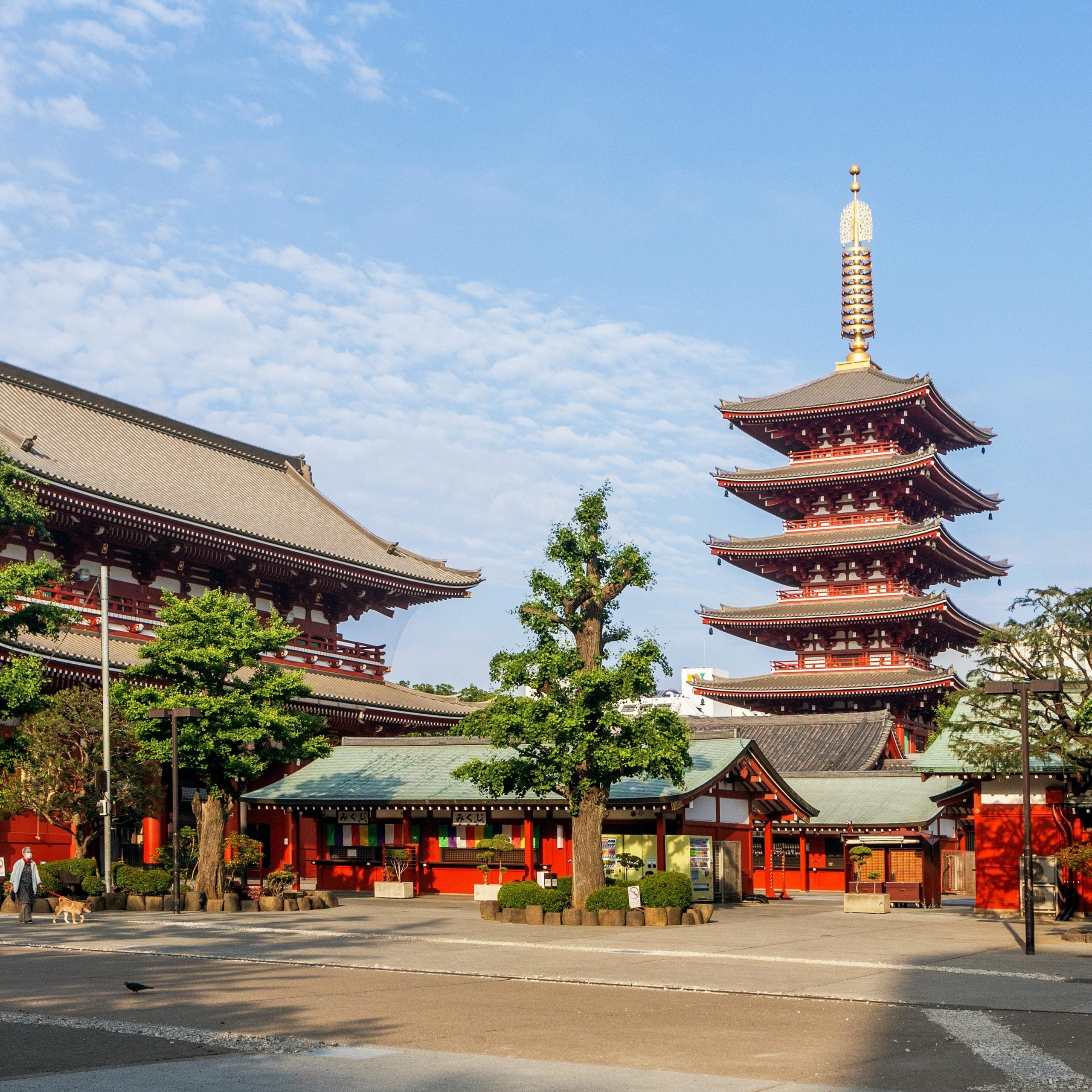 Plan the Ultimate Family Vacation in Japan