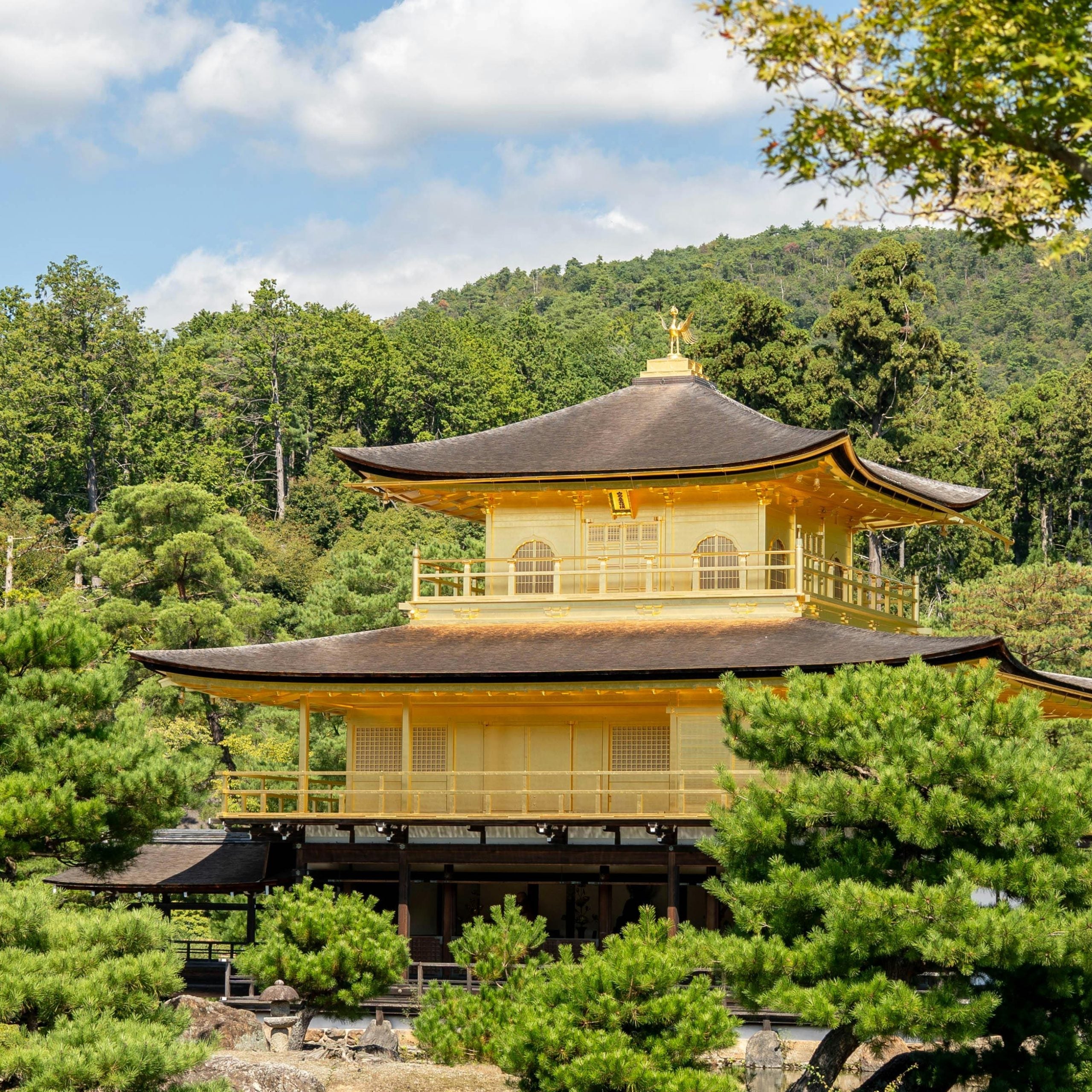 Ultimate Family Vacation to Japan – Fun, Culture & Safety Tips for Pakistani Families