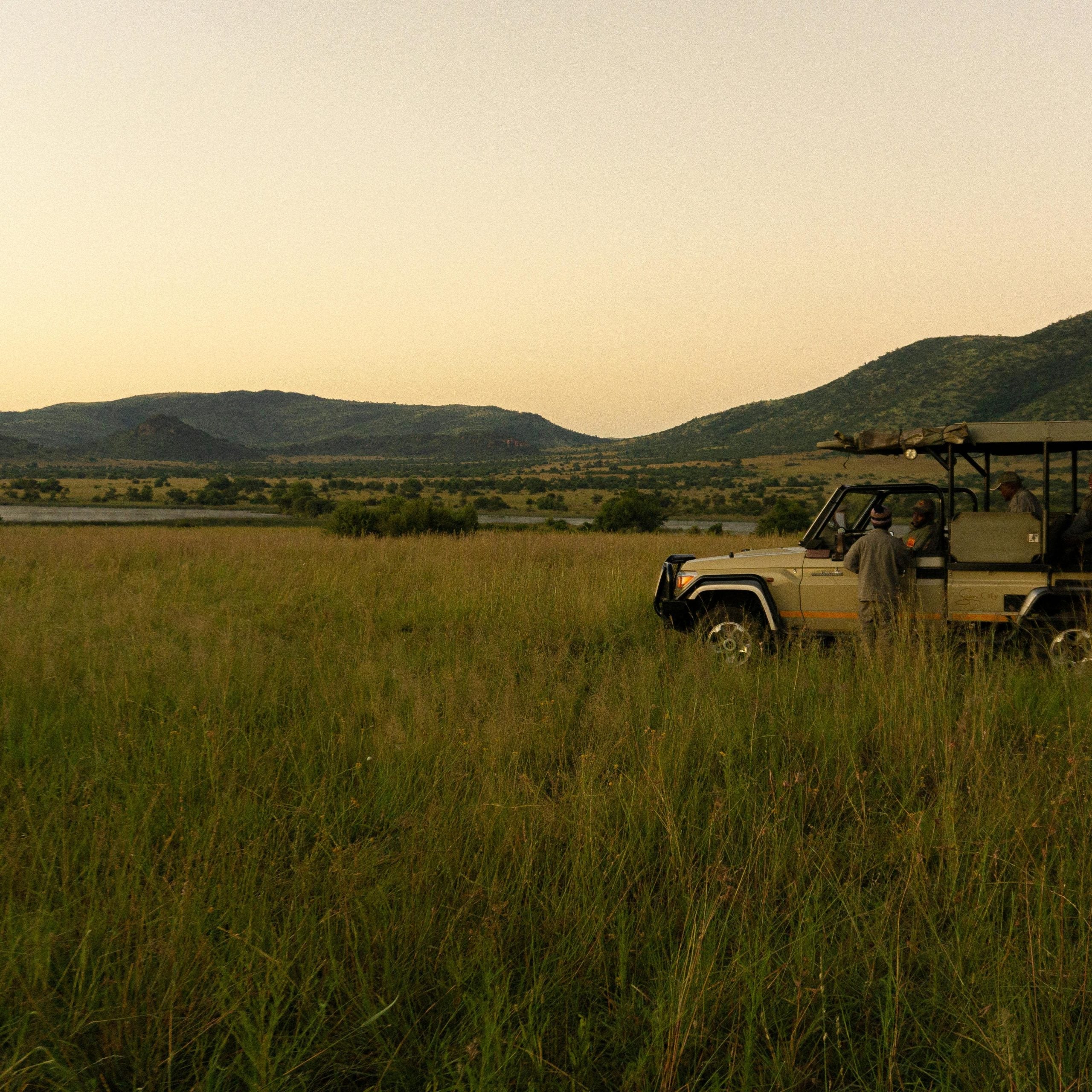 Best Time to Visit South Africa: A Seasonal Guide for Travelers