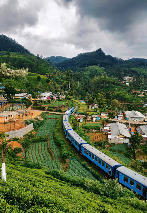 Sri Lanka