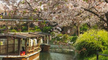 Plan a Romantic Honeymoon in Japan